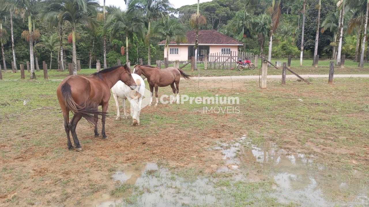 Área Rural à Venda em Guaraqueçaba  38,80 ha, 14 alqueires de ...