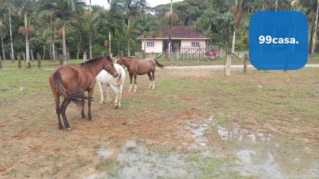 Oportunidade em Guaraqueçaba  Área Rural com 38,80 ha, 16 alq,...
