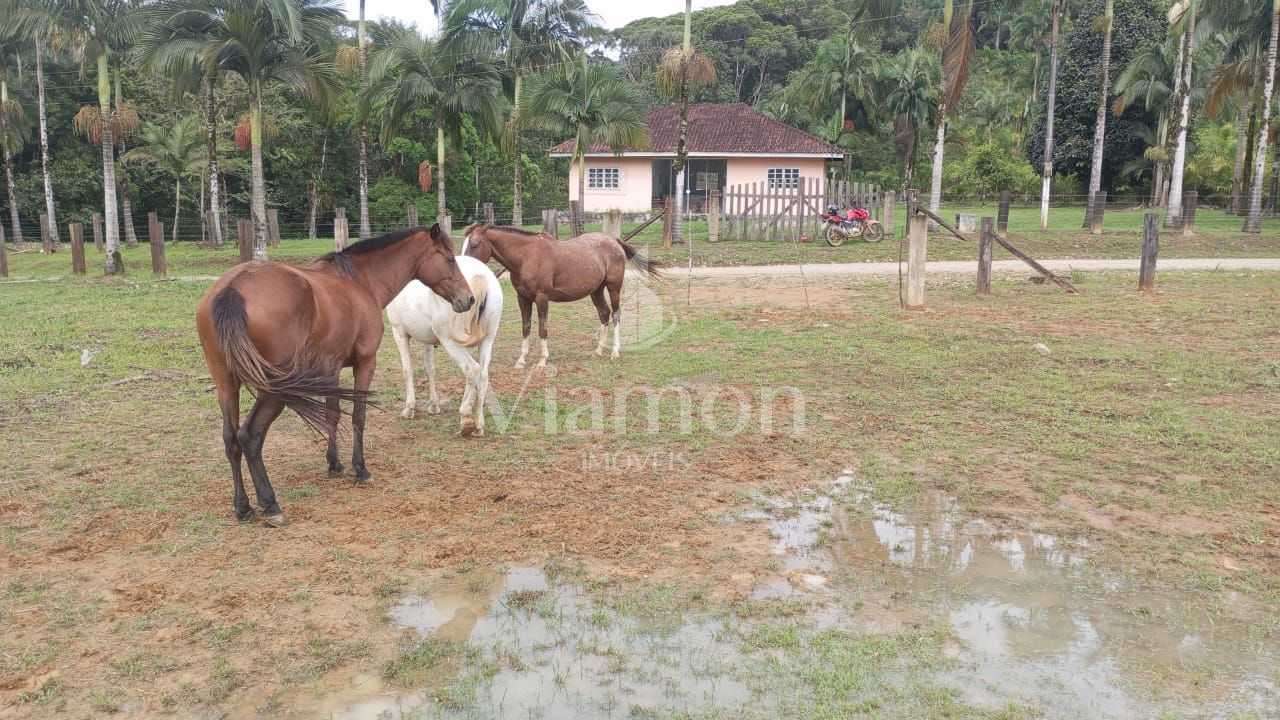 Área Rural à Venda em Guaraqueçaba  38,80 ha, 14 alqueires de ...