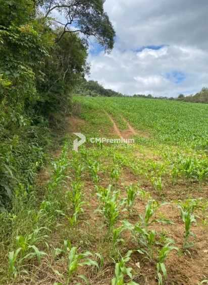 Terreno de 9,46 ha em Tijucas do Sul  Ideal para Agricultura o...