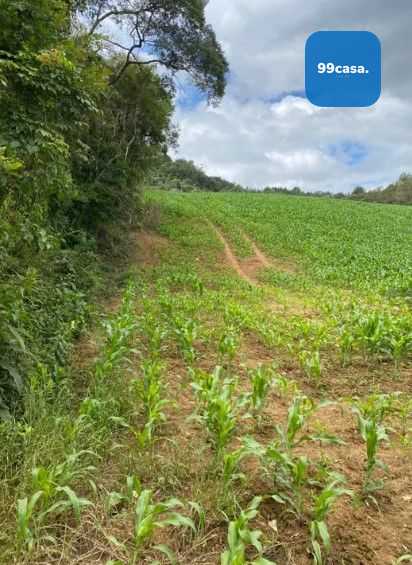 Terreno de 9,46 ha em Tijucas do Sul  Ideal para Agricultura o...