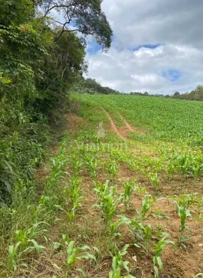 Terreno de 9,46 ha em Tijucas do Sul  Ideal para Agricultura o...