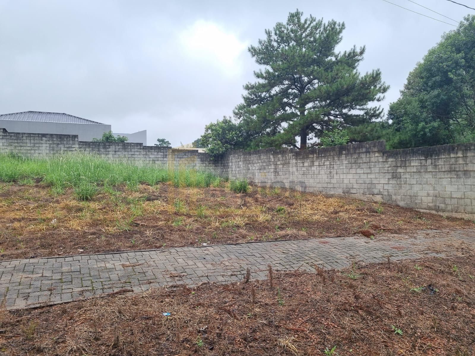 Terreno - Lote à venda no Contorno, em Ponta Grossa, ao lado d...