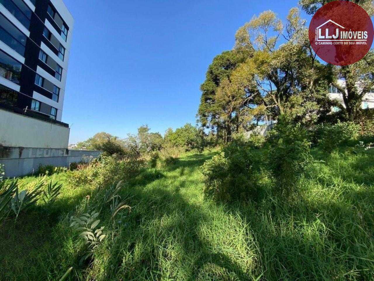 Excelente Terreno à venda,  ZR4, para construção de  prédio  Bacacheri,