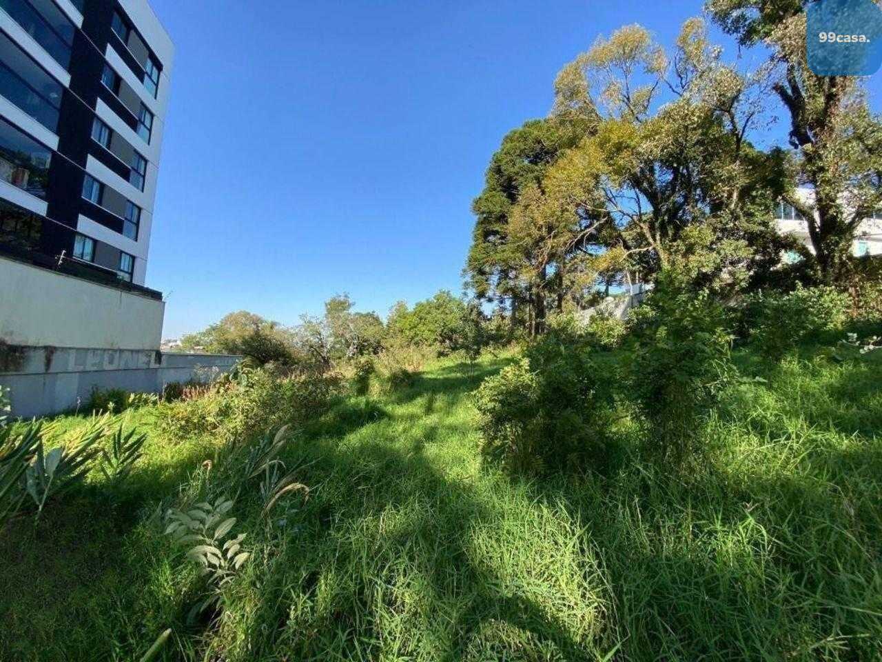 Excelente Terreno à venda,  ZR4, para construção de  prédio  B...
