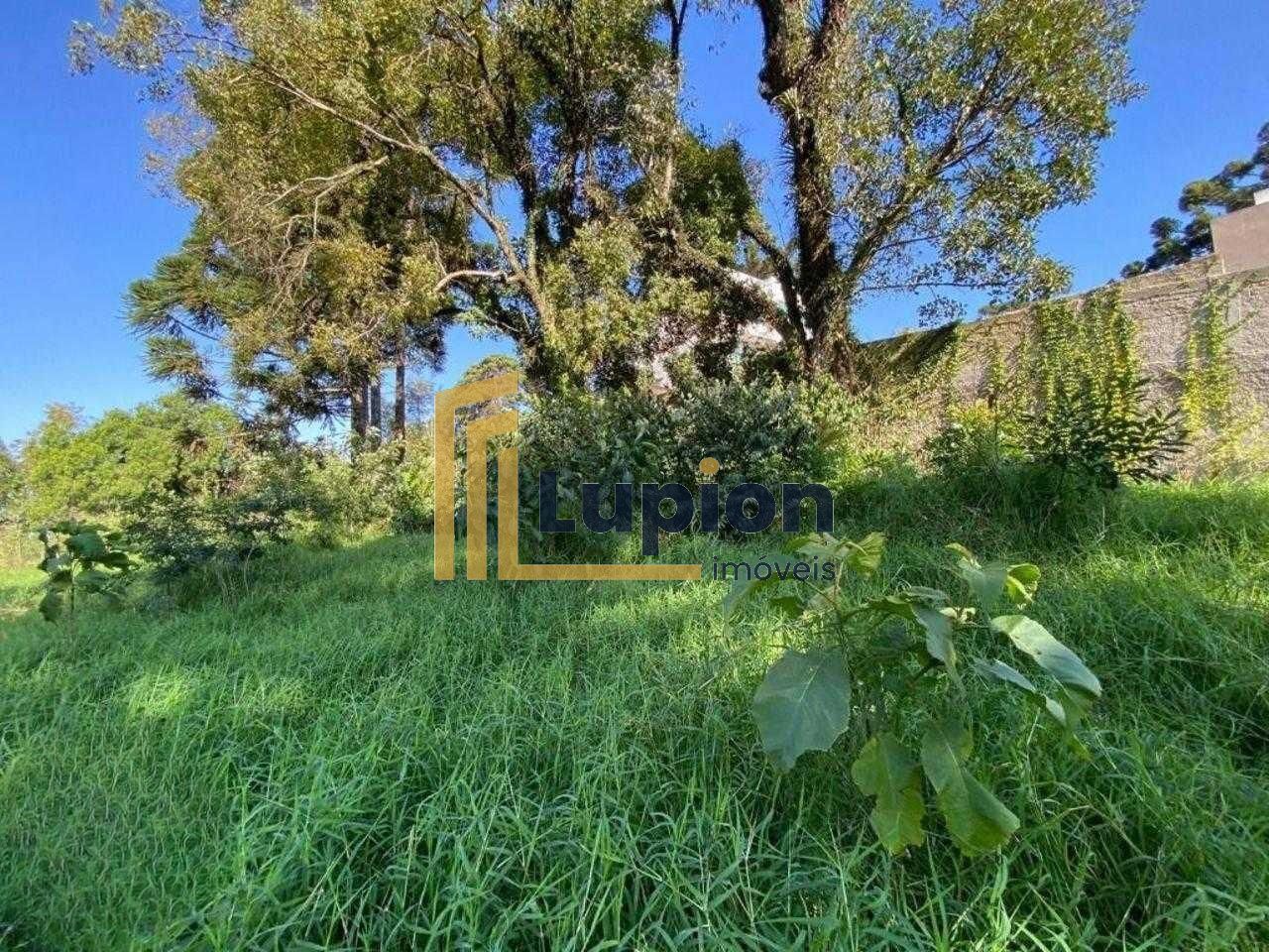 Excelente Terreno à venda,  ZR4, para construção de  prédio  B...