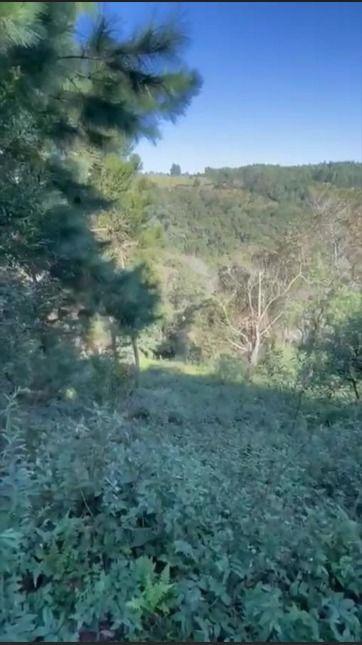 Terreno à venda, BATEIAS  , CAMPO LARGO DA ROSEI - PR