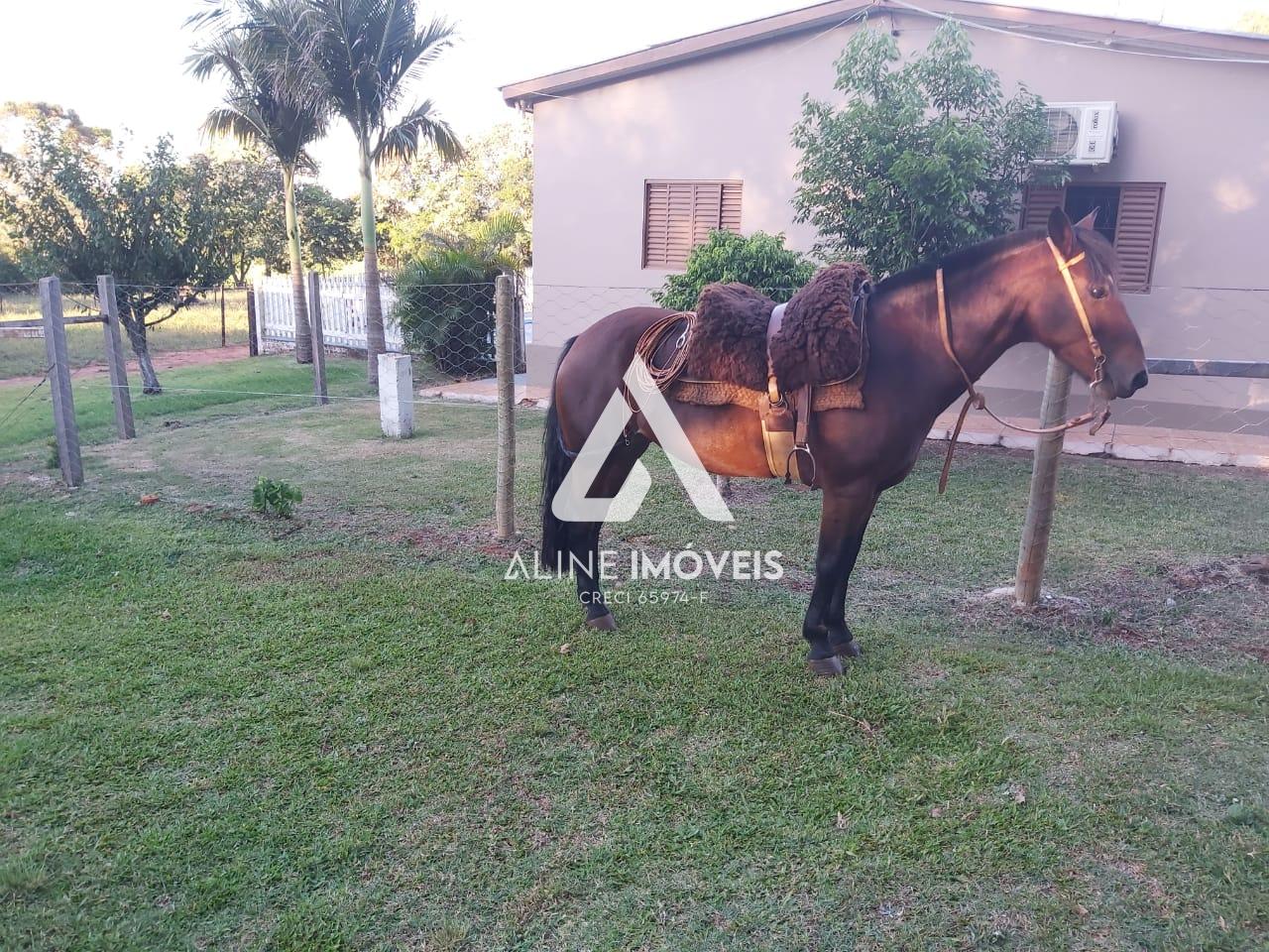 Fazenda à venda com 8 quartos, 1m² - Foto 5