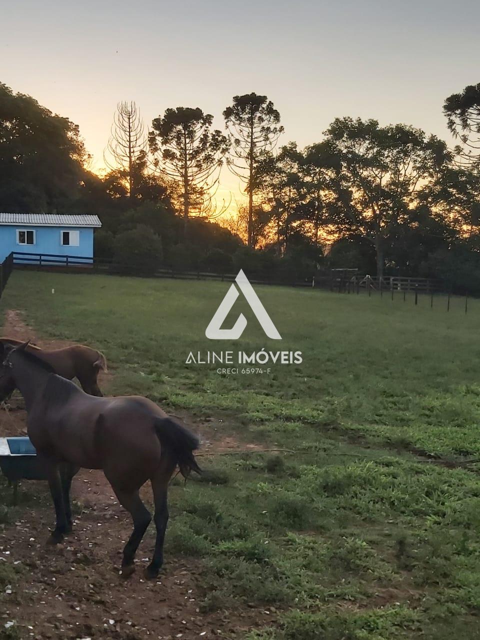 Fazenda à venda com 8 quartos, 1m² - Foto 6