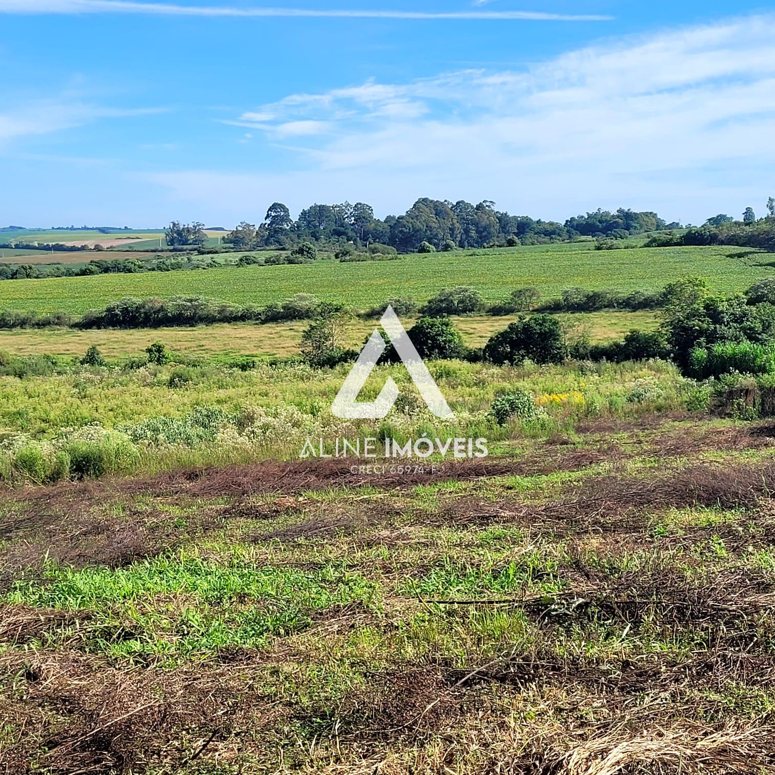 Fazenda à venda, 40m² - Foto 7