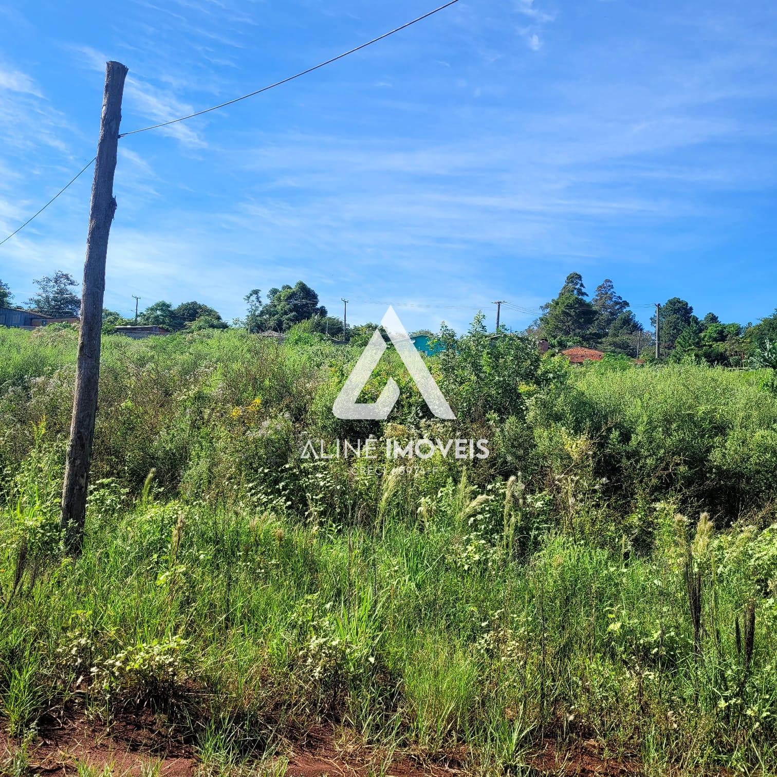 Fazenda à venda, 40m² - Foto 9