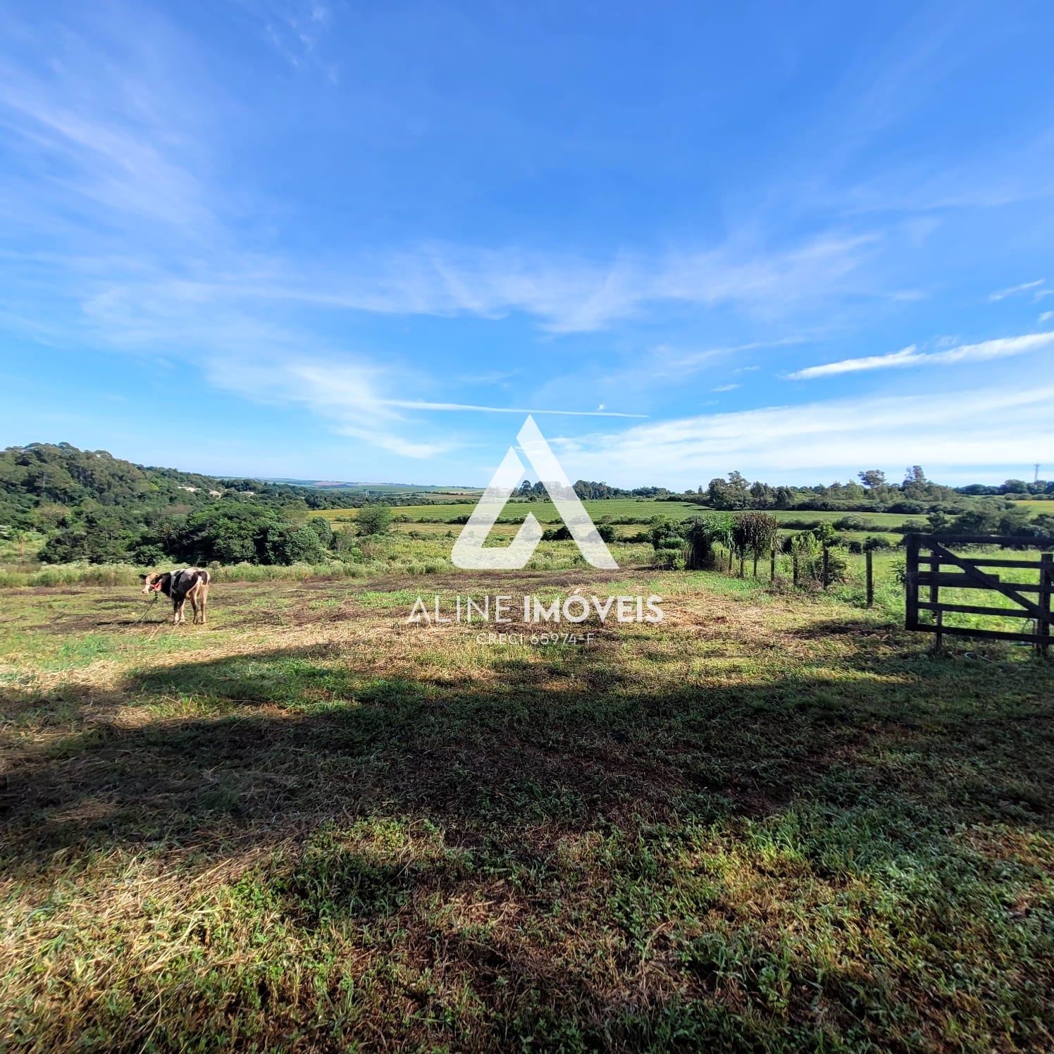 Fazenda à venda, 40m² - Foto 6