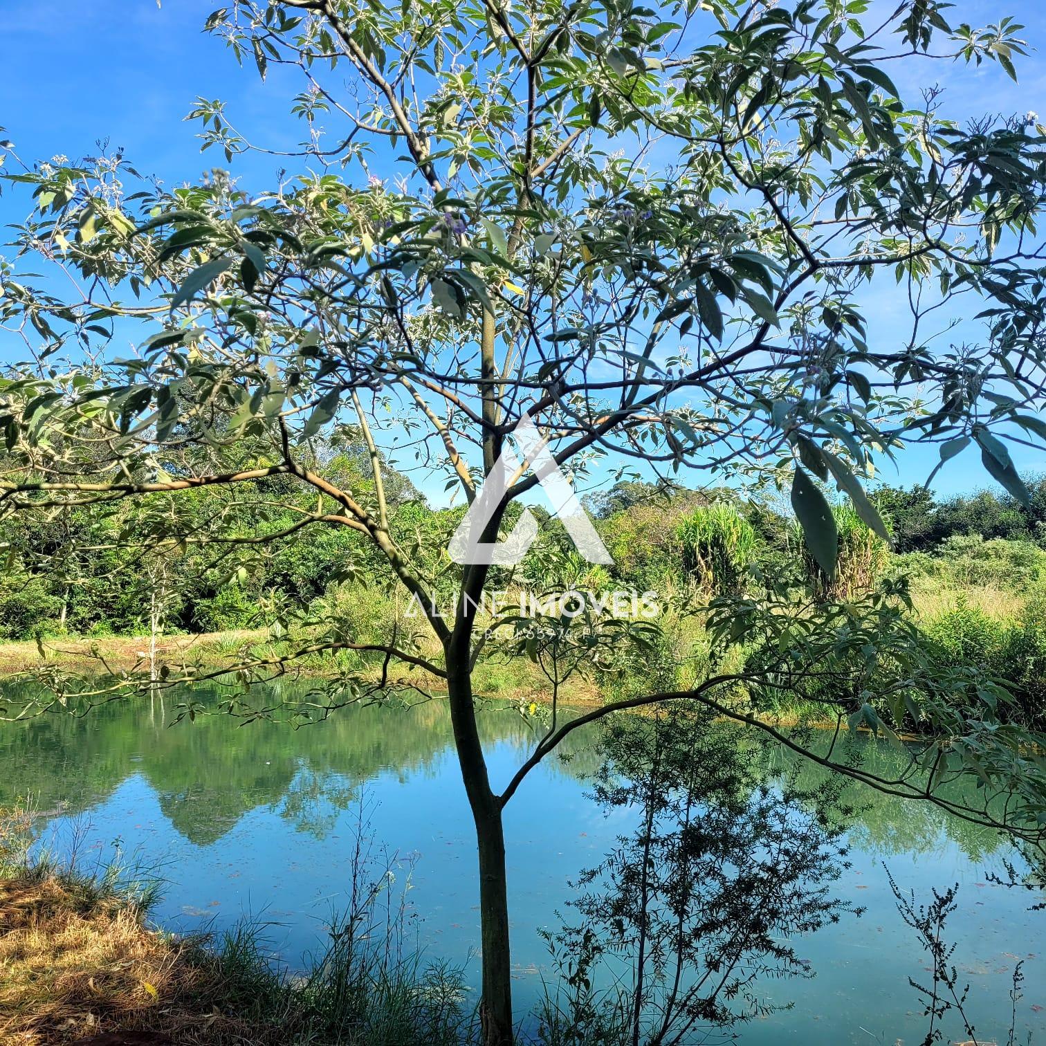 Fazenda à venda, 40m² - Foto 20