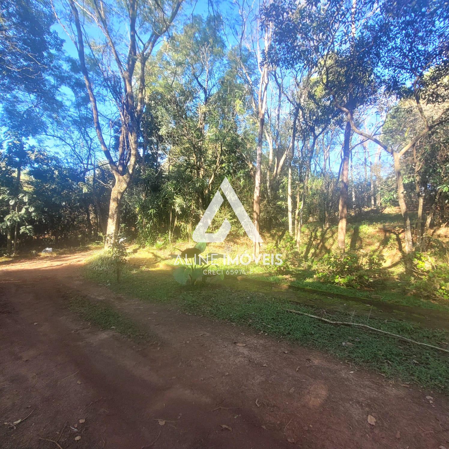 Fazenda à venda com 4 quartos, 10000m² - Foto 5