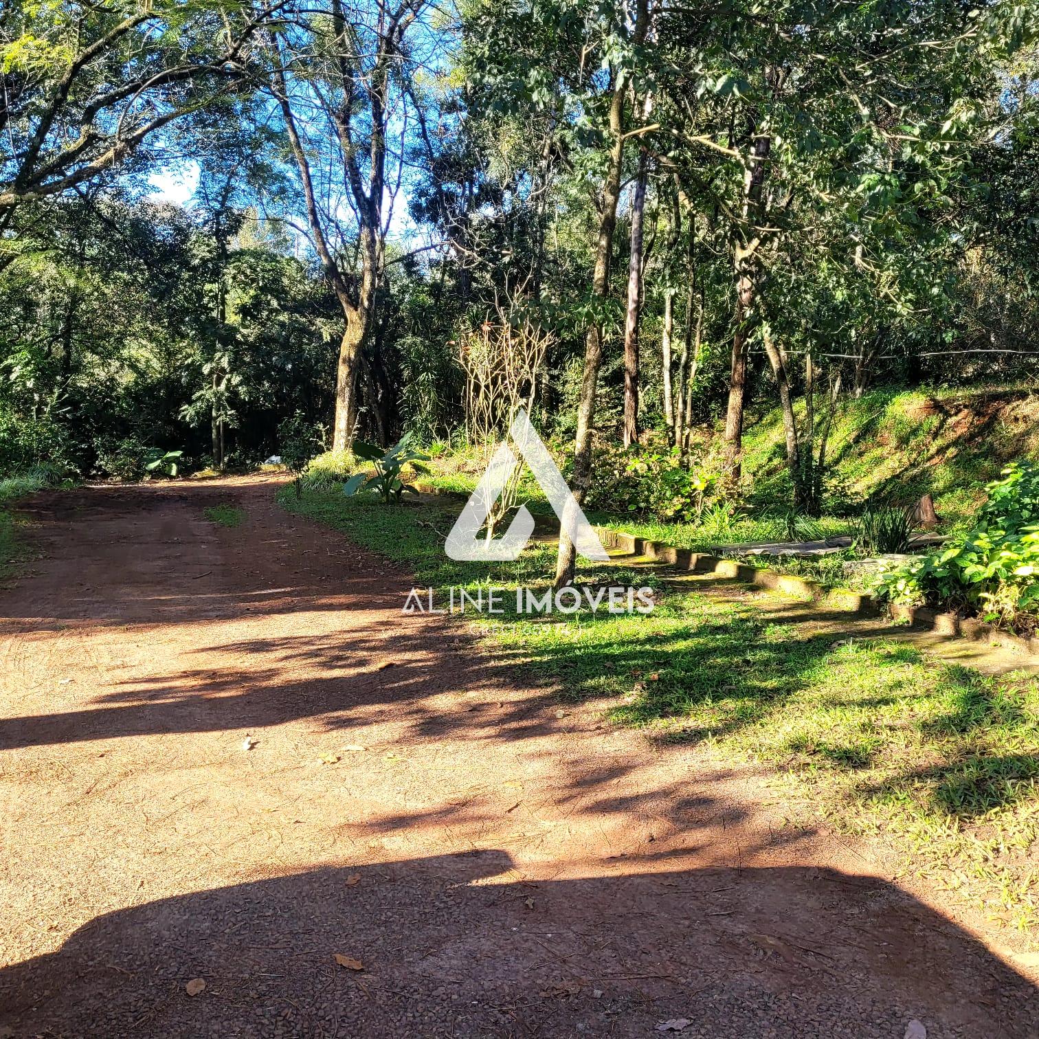 Fazenda à venda com 4 quartos, 10000m² - Foto 7