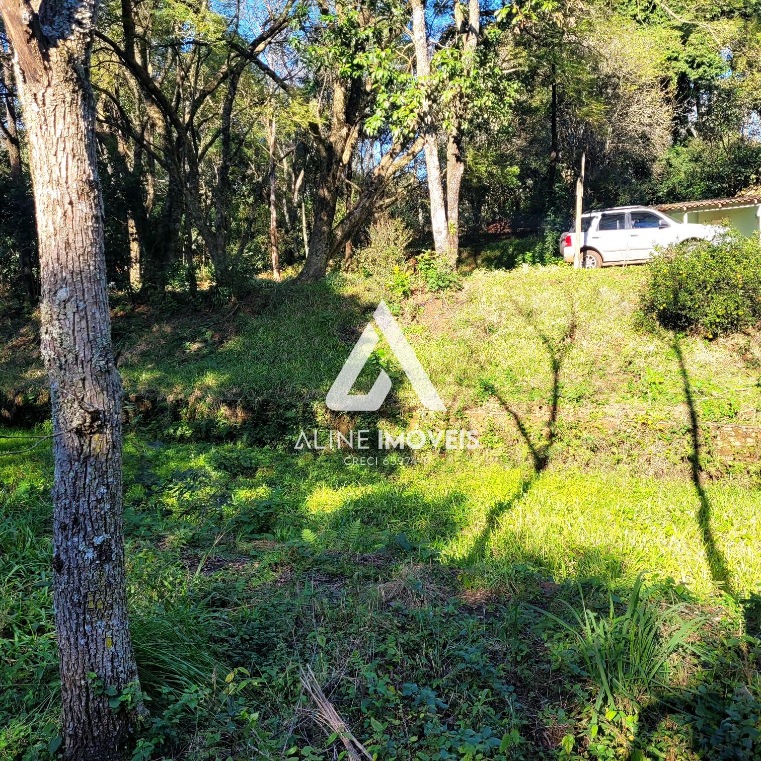 Fazenda à venda com 4 quartos, 10000m² - Foto 4