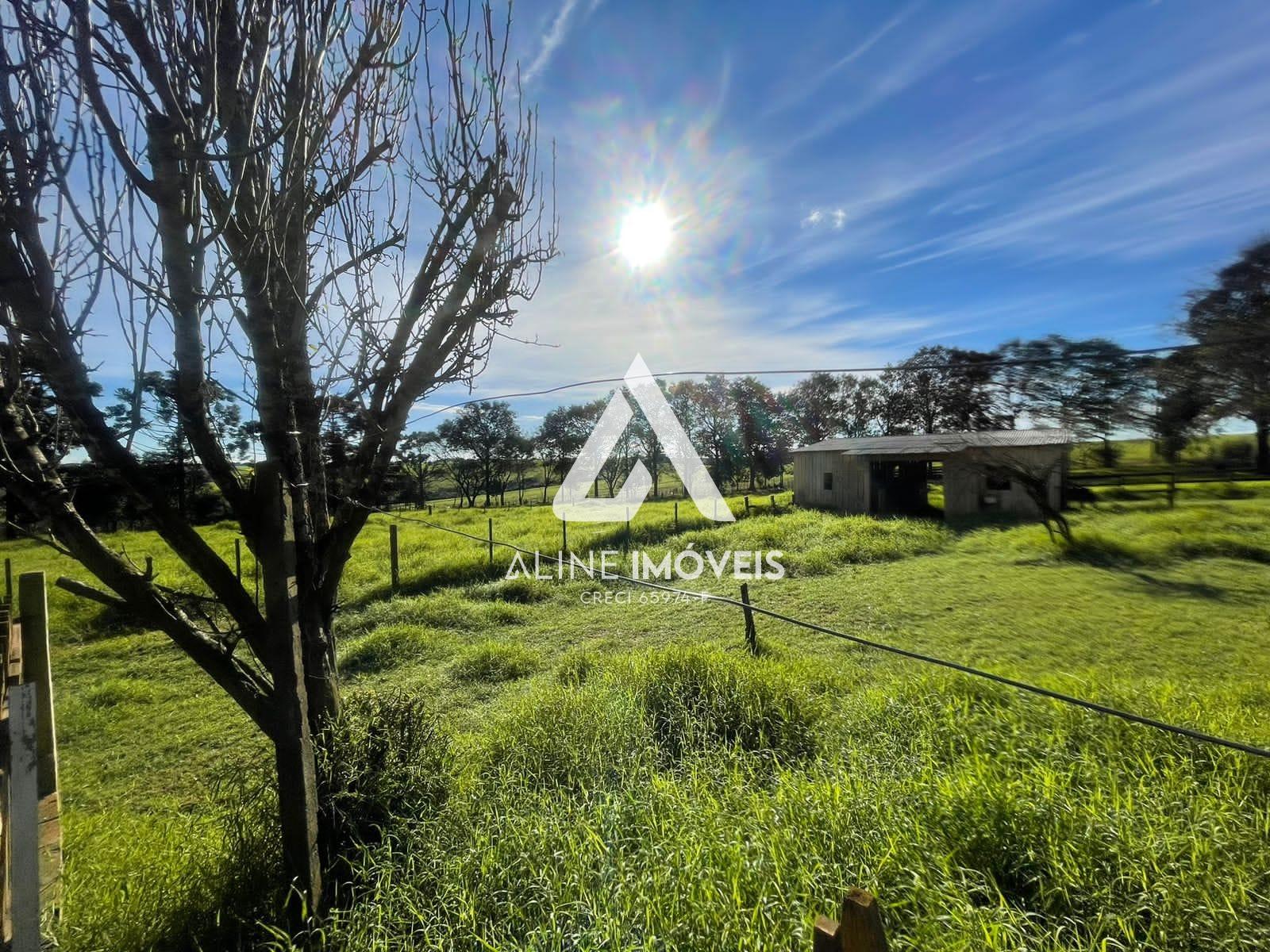 Fazenda à venda com 8 quartos, 1m² - Foto 14