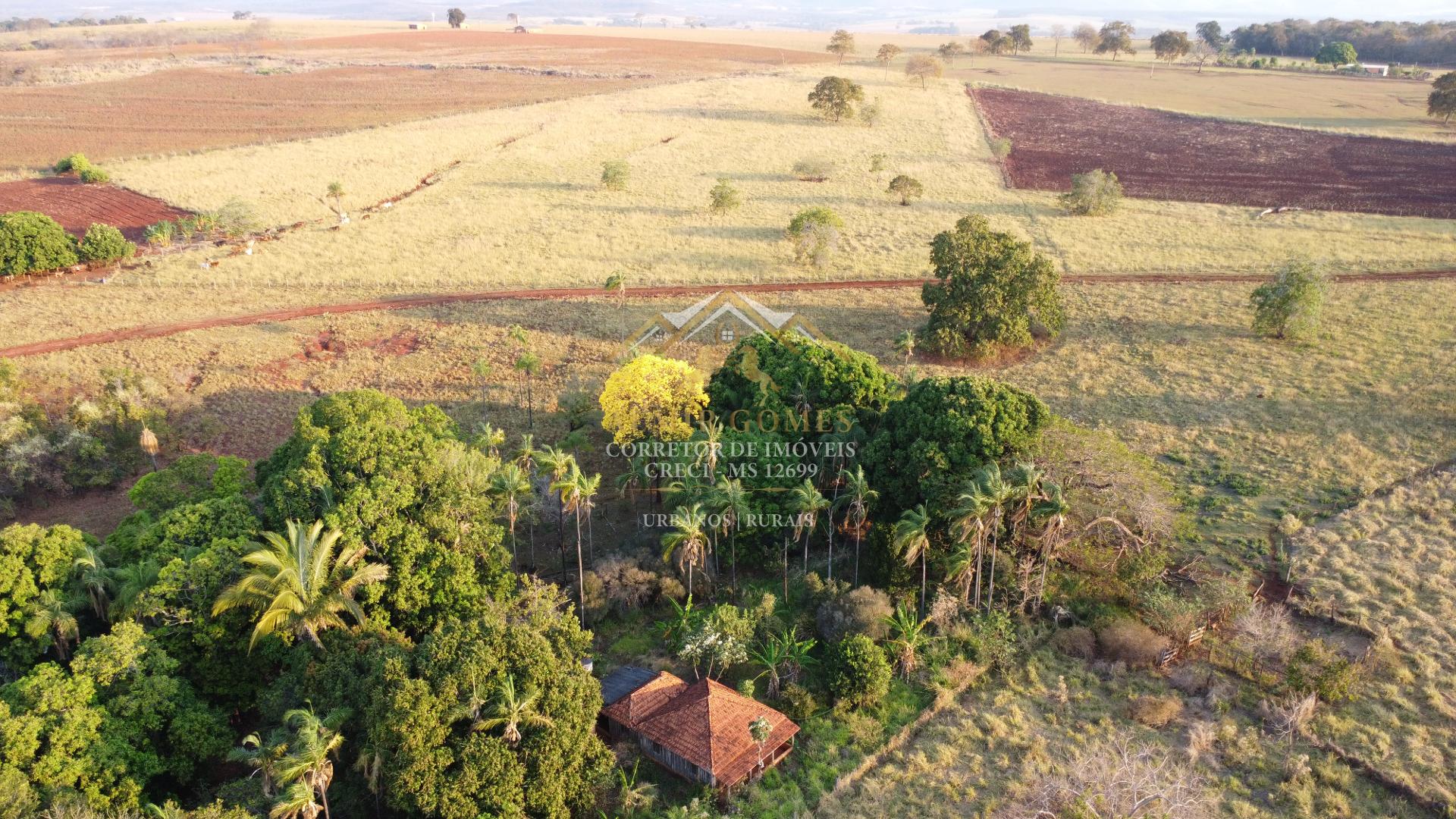 Chácara à venda 24ha, somente 13km de estrada de chão, zona rural, JARAGUARI - MS