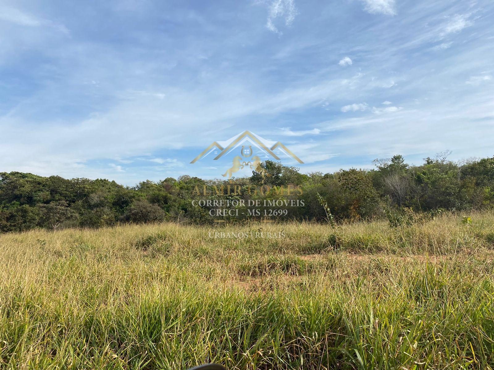 Chácara 14ha, à venda - 22km de Campo Grande, zona rural, JARAGUARI - MS