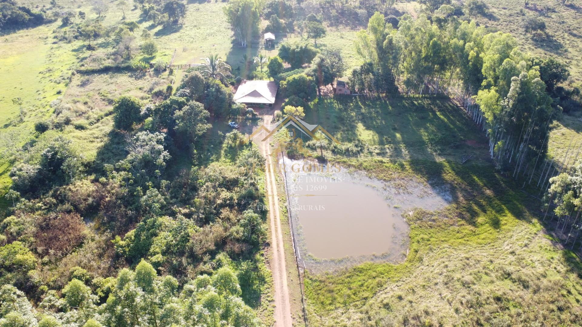 Chácara 66ha à venda - Com casa sede boa e grande - DOIS IRMÃOS DO BURITI - MS