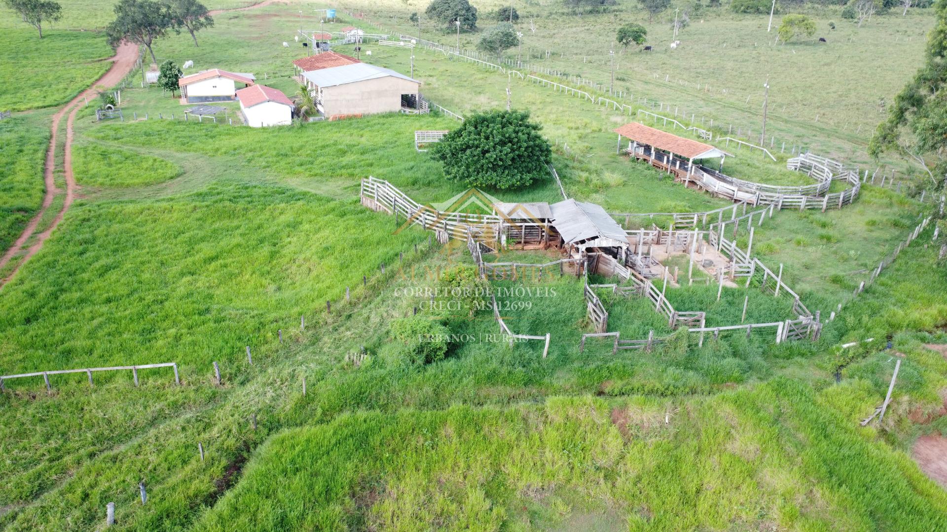 Chácara 23ha à venda, rica em água e com estrutura para laço comprido, CAMPO GRANDE - MS