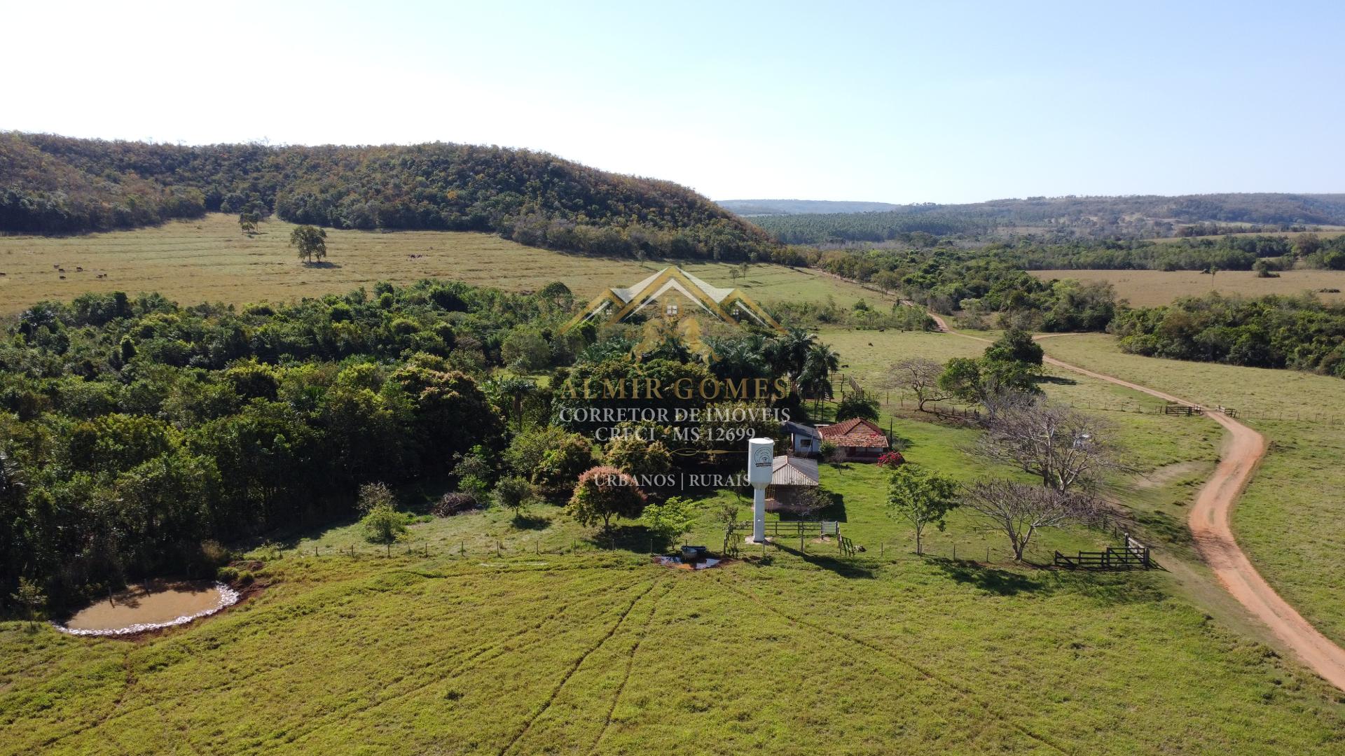 Fazenda 138 hectares, à venda, Rica em água, BANDEIRANTES - MS