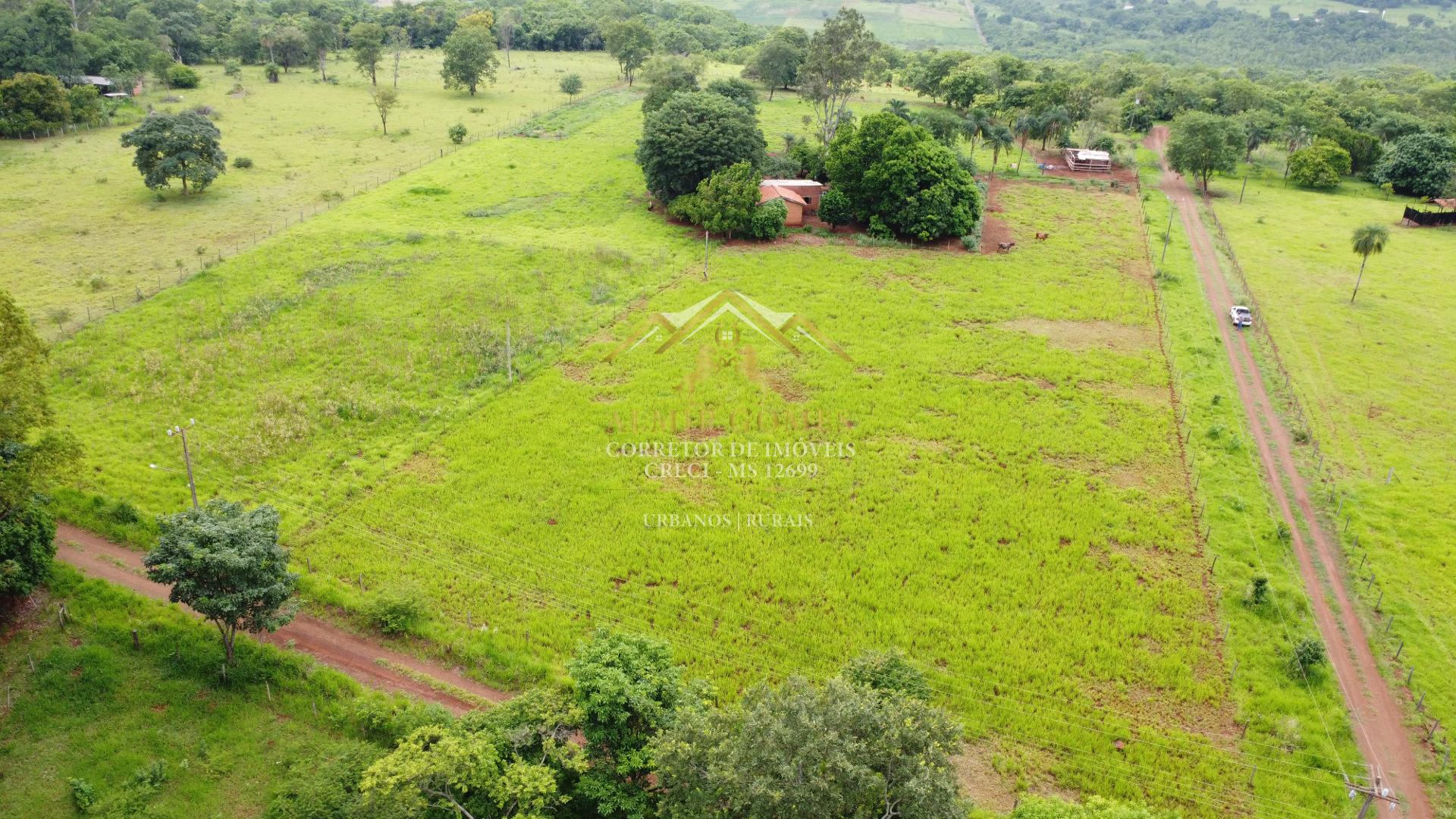 Chácara à venda, 5,5 hectares de terra boa , CAMPO GRANDE - MS