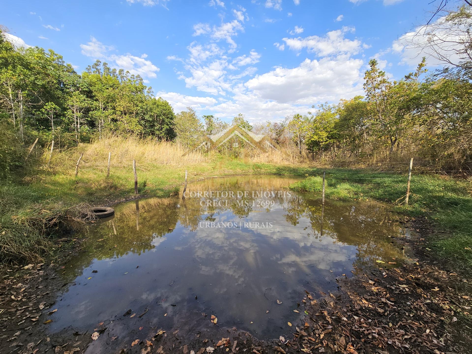 Chácara à venda 5.9ha, ROCHEDO - MS