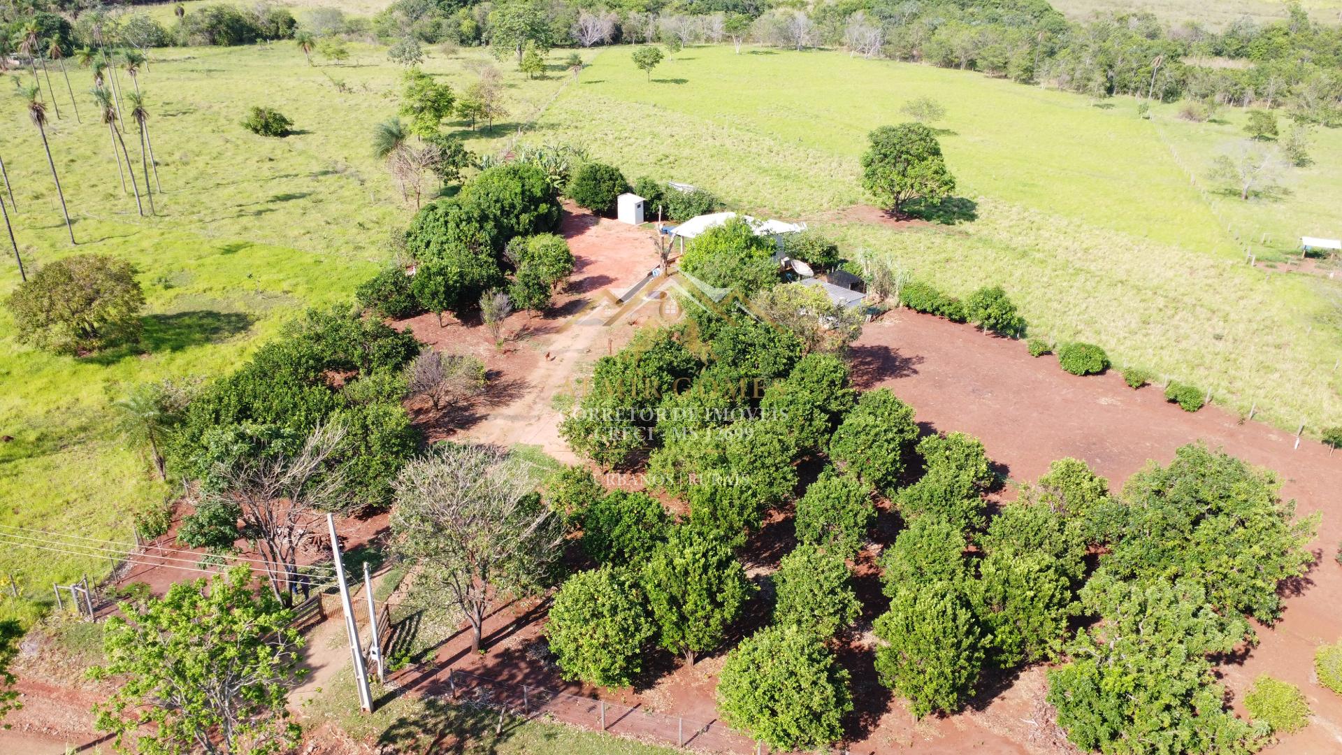 Chácara à venda, 5.3 hectares, ROCHEDINHO - MS