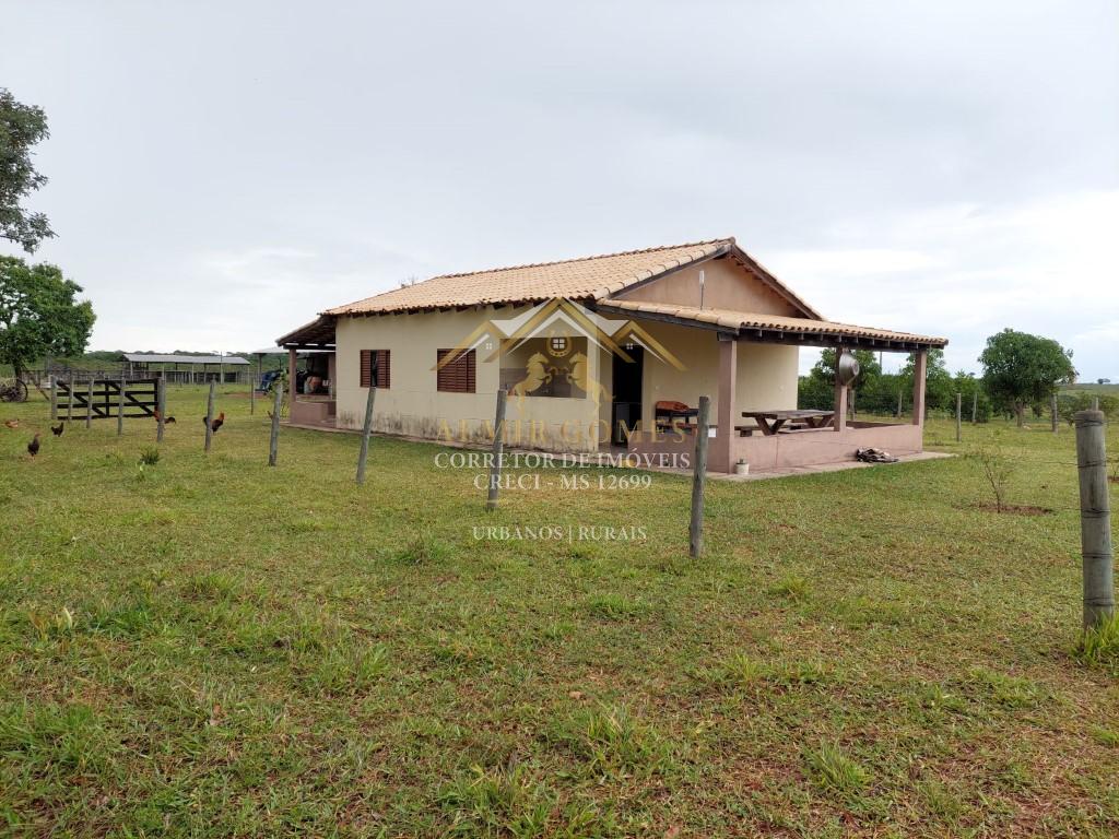 Fazenda à venda  183 hectares, zona rural, CAMAPUA - MS