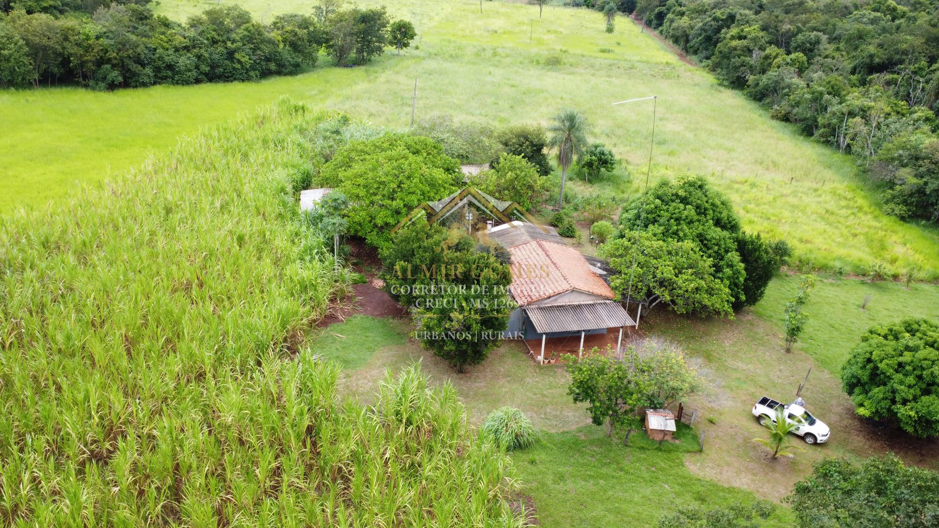 Chácara à venda, 8 hectares, apenas 9,5 km de estrada cascalhada,  JARAGUARI - MS