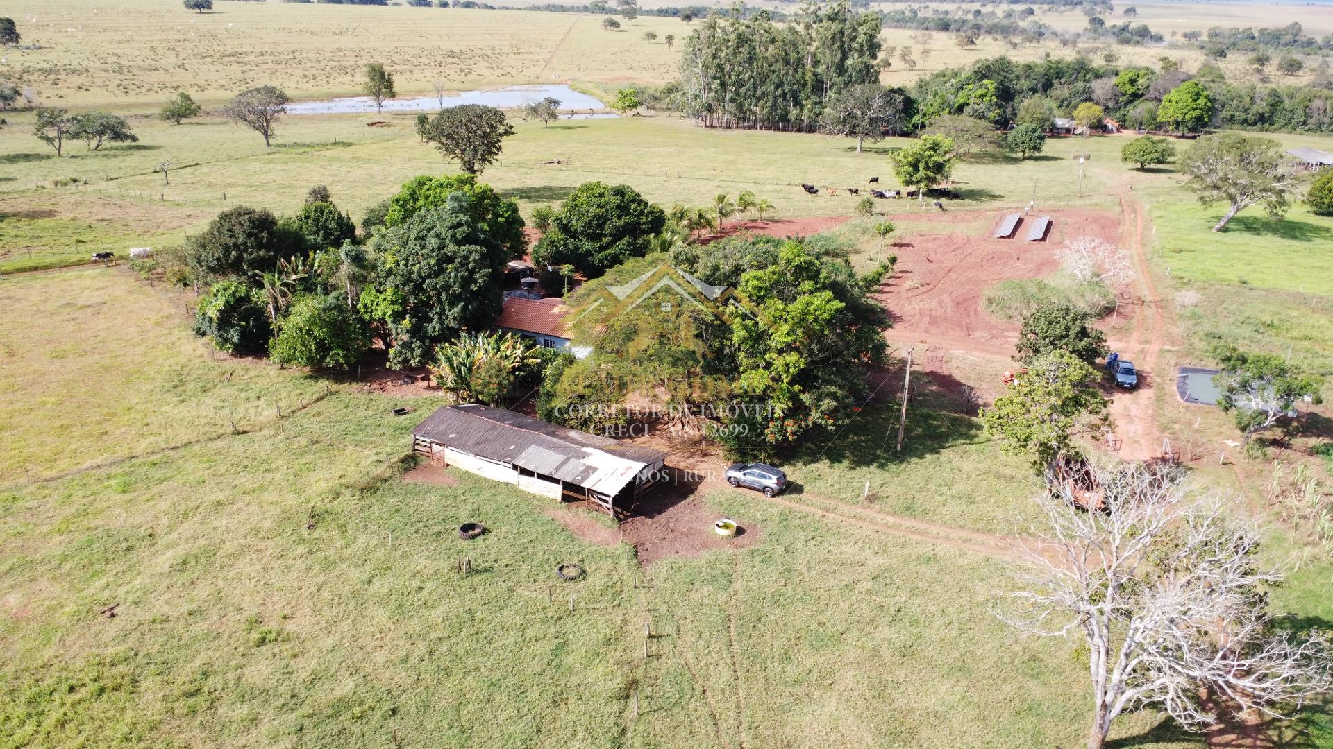 Chácara à venda 33 hectares, apenas 3,5 km de estrada de chão boa, BANDEIRANTES - MS