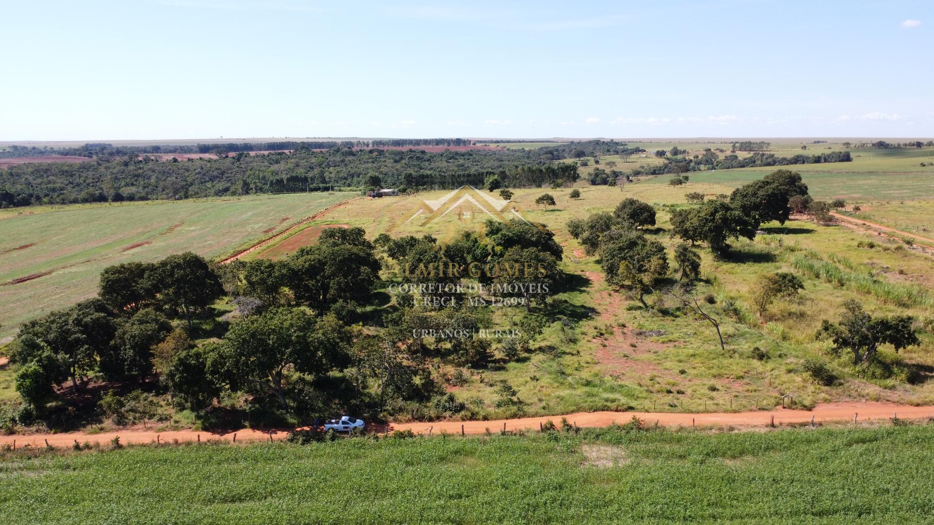 Chácara à venda 9ha, Apenas 900m de estrada de chão, BANDEIRANTES - MS