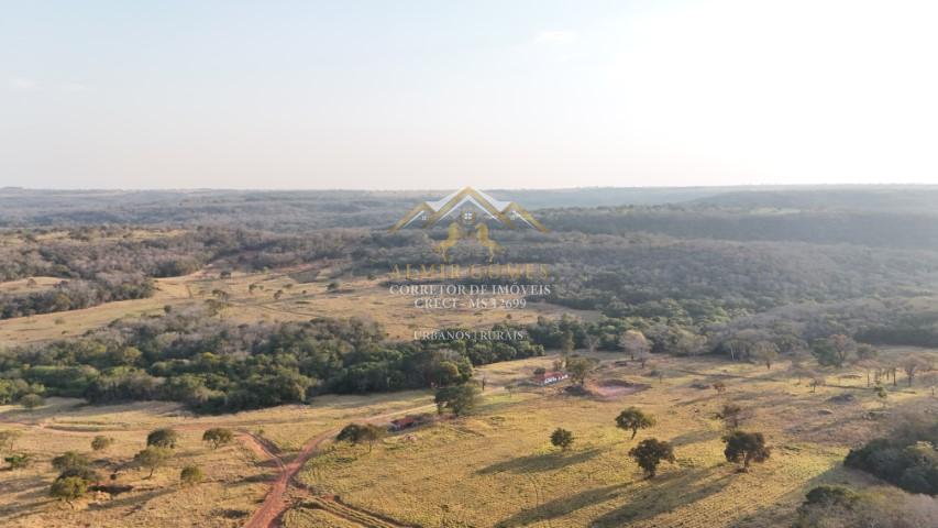 Fazenda, 500 ou 350 hectares , RIO NEGRO - MS