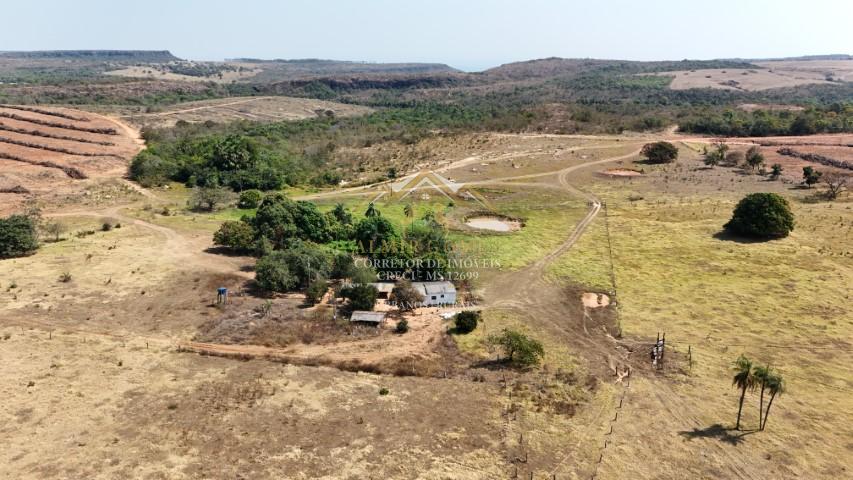 Fazenda à venda, dupla aptidão, com 440 hectares, SAO GABRIEL DO OESTE - MS