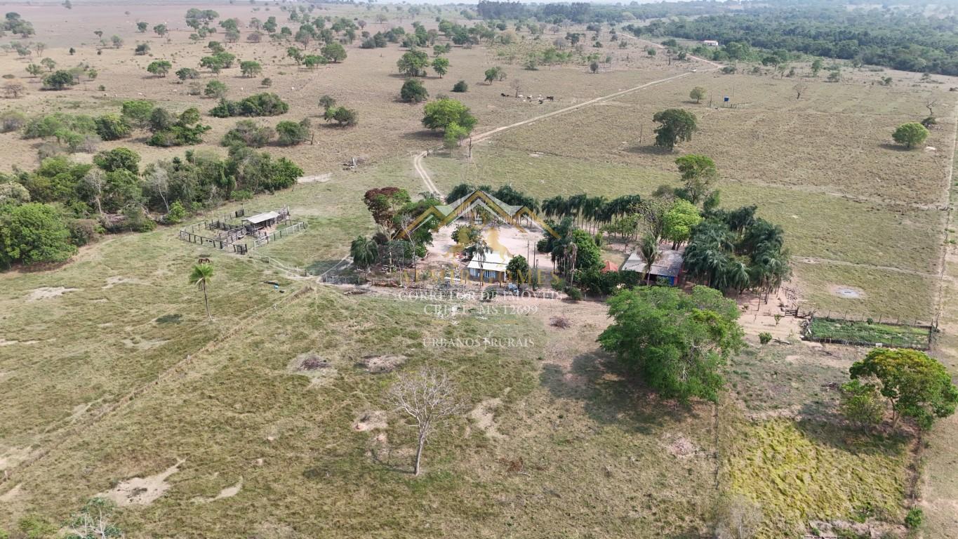 Chácara à venda 24ha,ótima logística, apenas 6 km de estrada de chão, ROCHEDO - MS