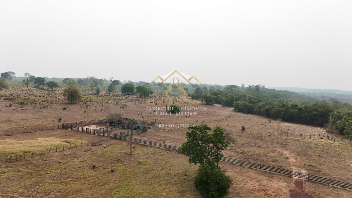 Fazenda à venda 140 hectares, muito bem localizada, CORGUINHO - MS