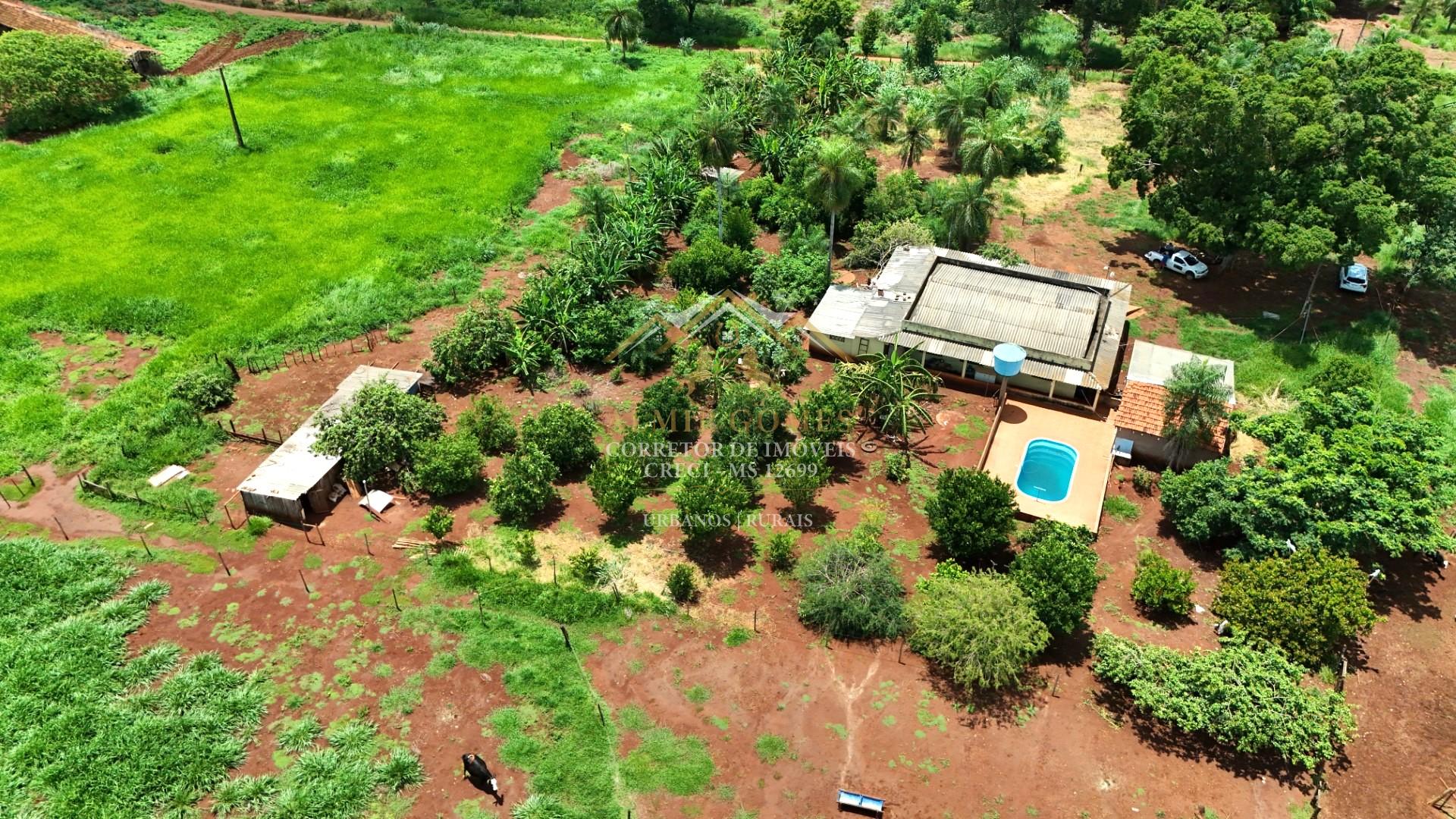 Chácara 25 ha à venda, Boa de terra e de estrutura, TERENOS - MS