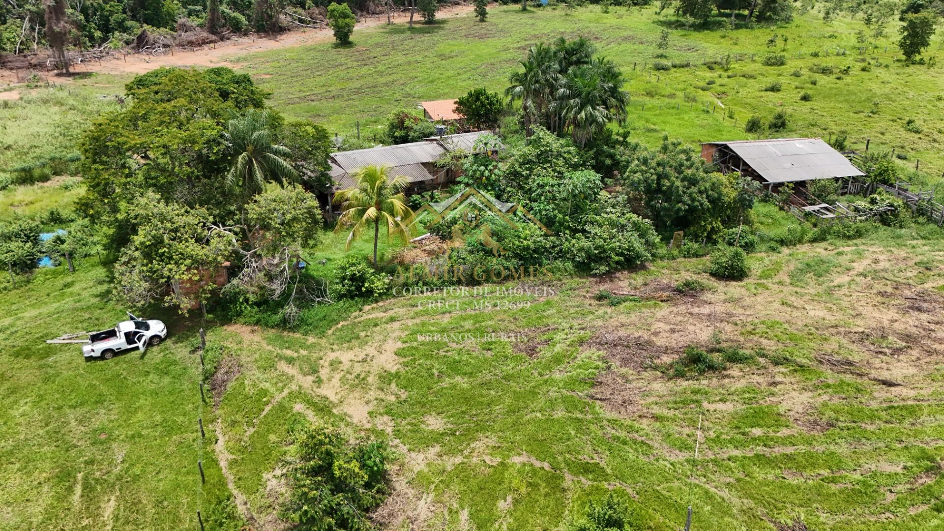 Chácara 35 hectares, à venda, Região do Barreirão, BANDEIRANTES - MS