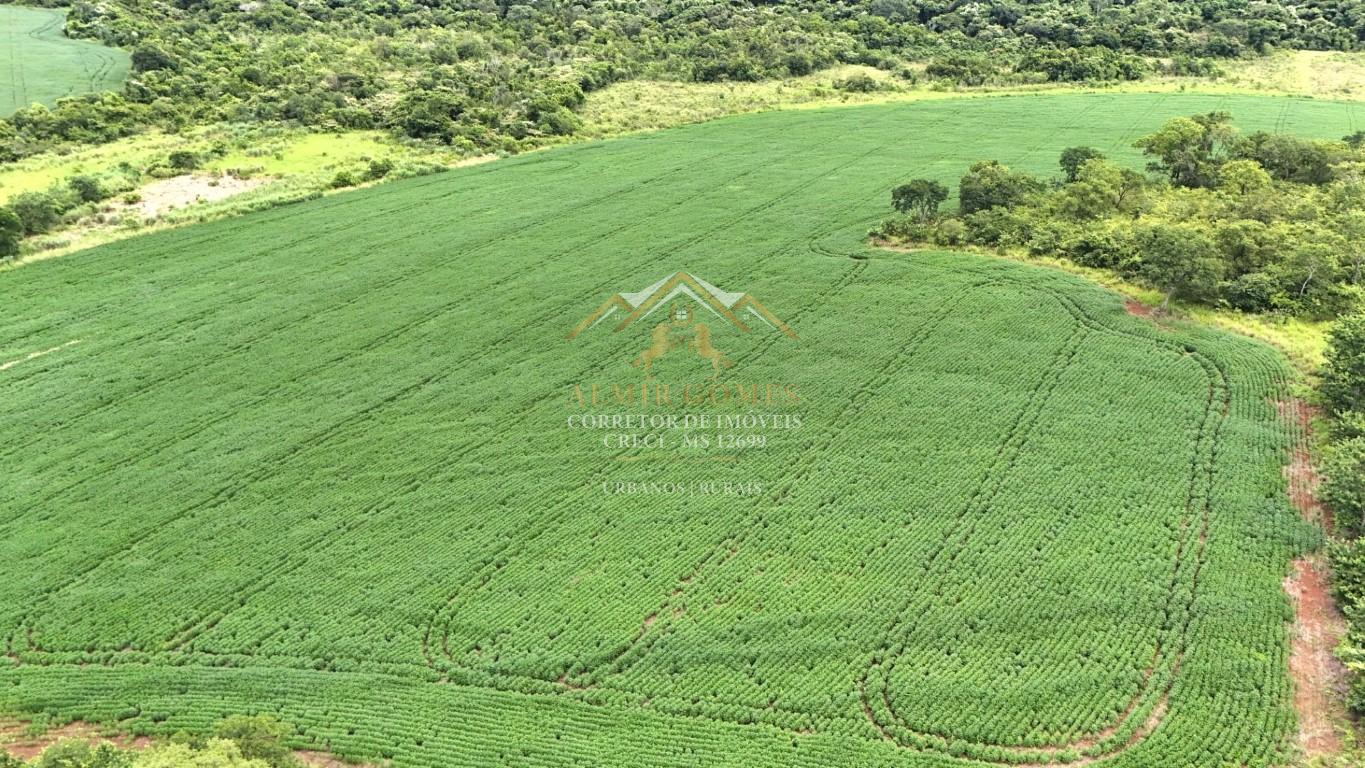 Chácara 25 hectares à venda, terra preta e terra roxa e com rio, JARAGUARI - MS