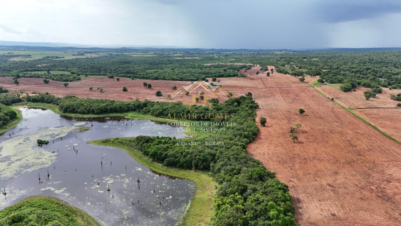 Fazenda 750 hectares à venda, SAO GABRIEL DO OESTE - MS