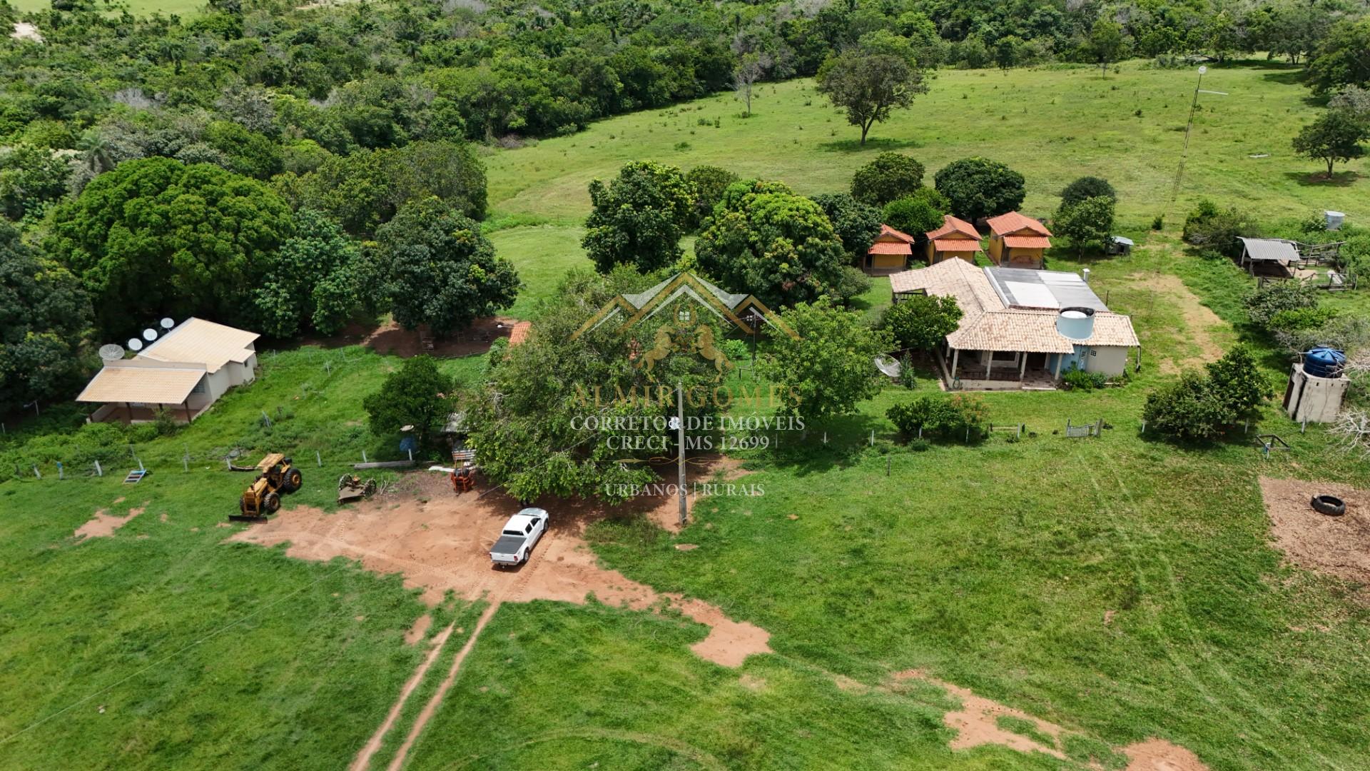 Fazenda 350 hectares à venda, ótima de estrutura - SAO GABRIEL DO OESTE - MS