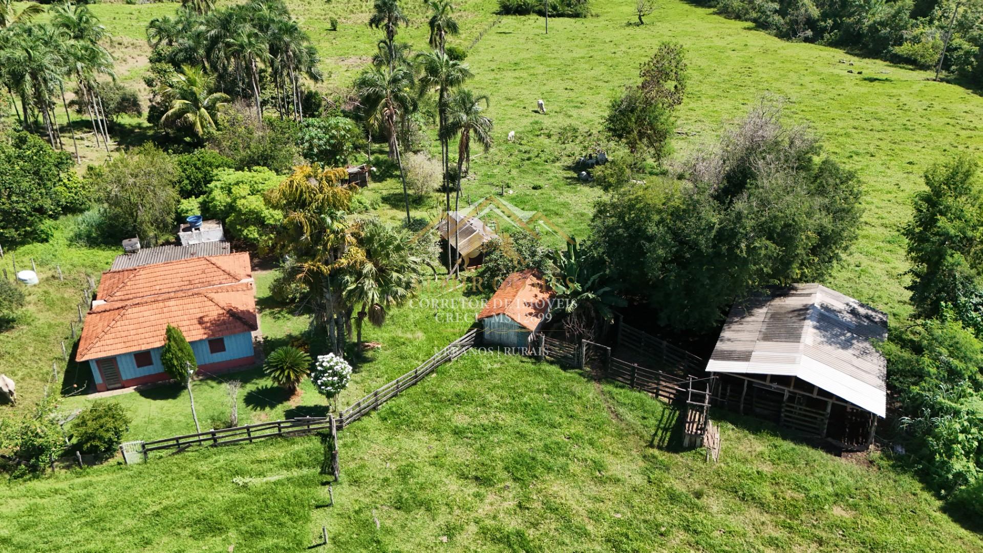 Chácara 50 hectares à venda. Terra boa de furna. JARAGUARI - MS
