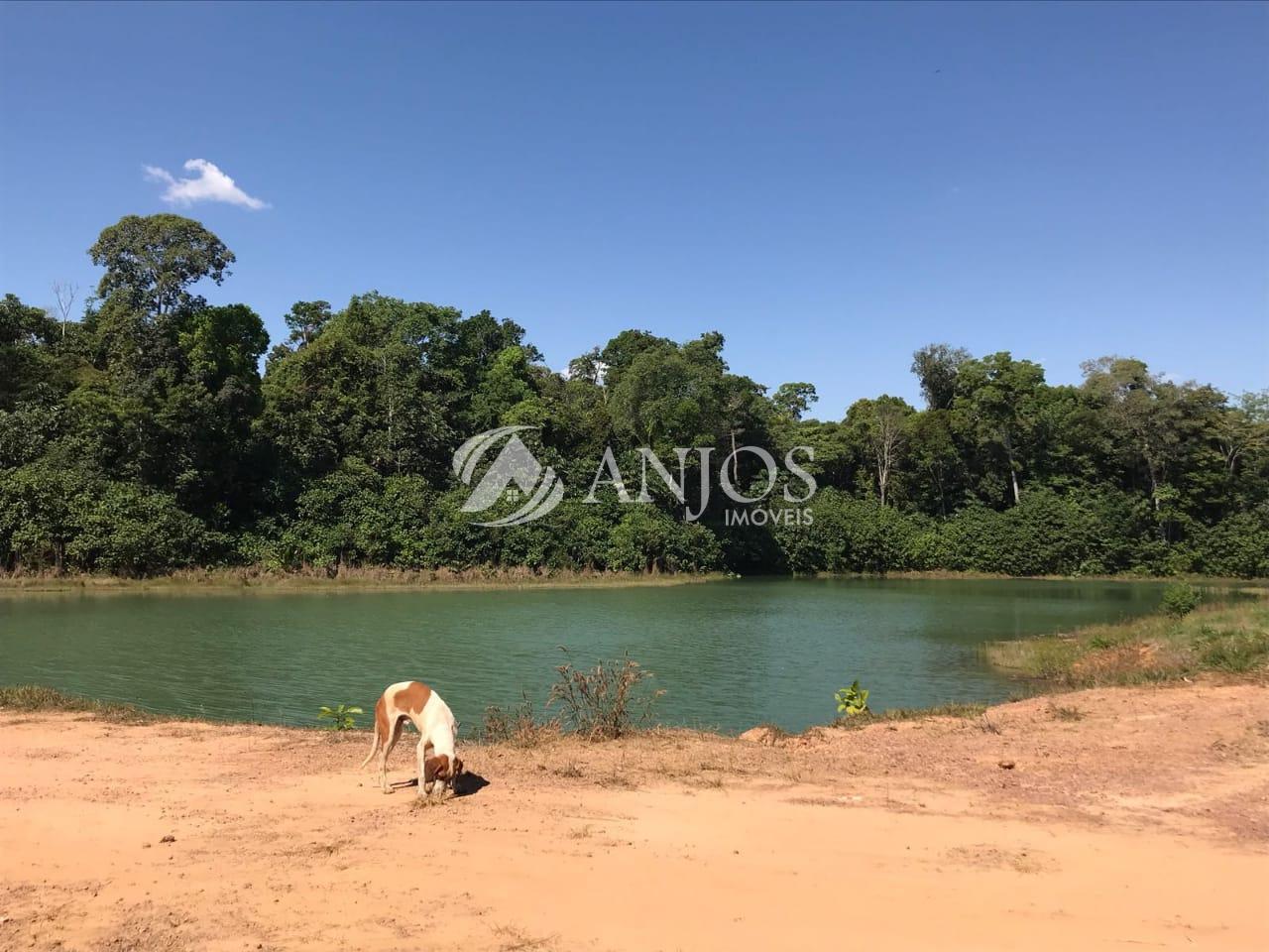 CHÁCARA QUITADA NO CANTINHO DA FLORESTA I, ÁREA RURAL, SINOP MT