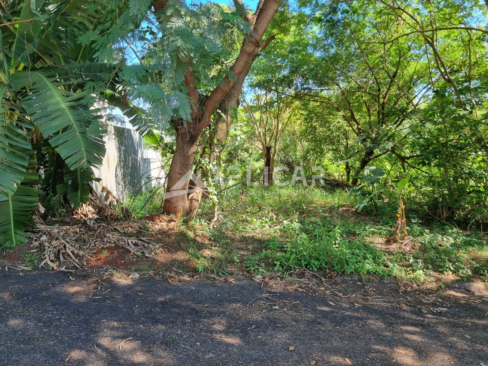 Terreno à venda com 934,50 m2, Jardim Festugato, FOZ DO IGUACU...