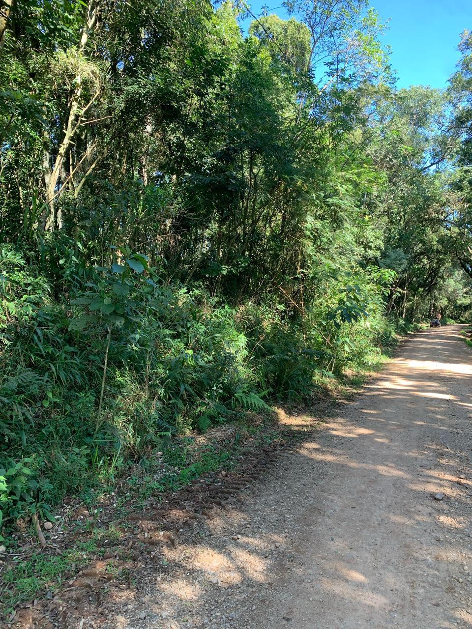 Ch?cara ? venda, Rodeio Santo Antonio, BALSA NOVA - PR