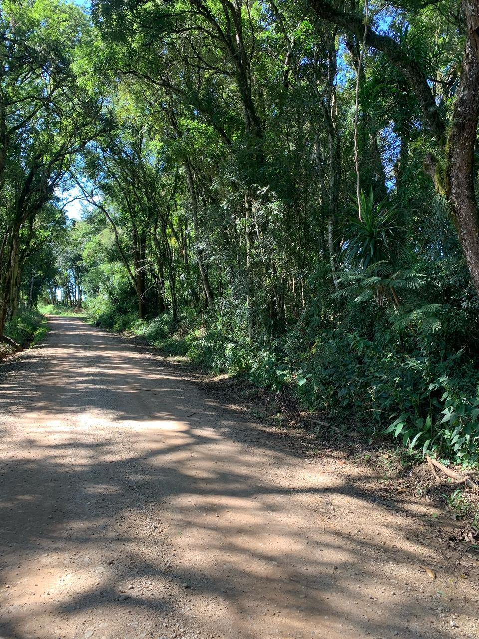 Chácara à venda, Rodeio Santo Antonio, BALSA NOVA - PR
