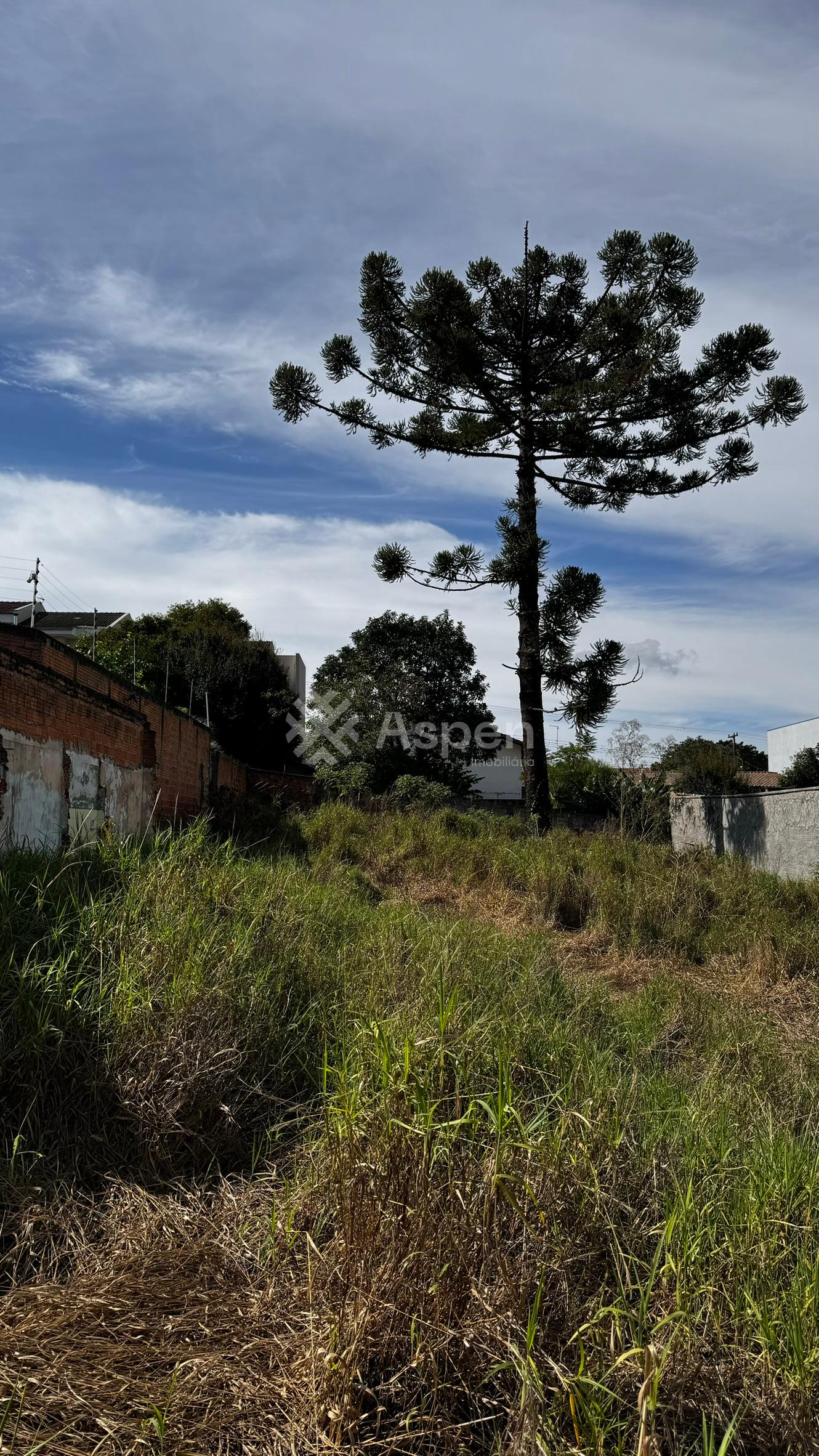 Terreno à venda Rua Itália, Oficinas, PONTA GROSSA - PR