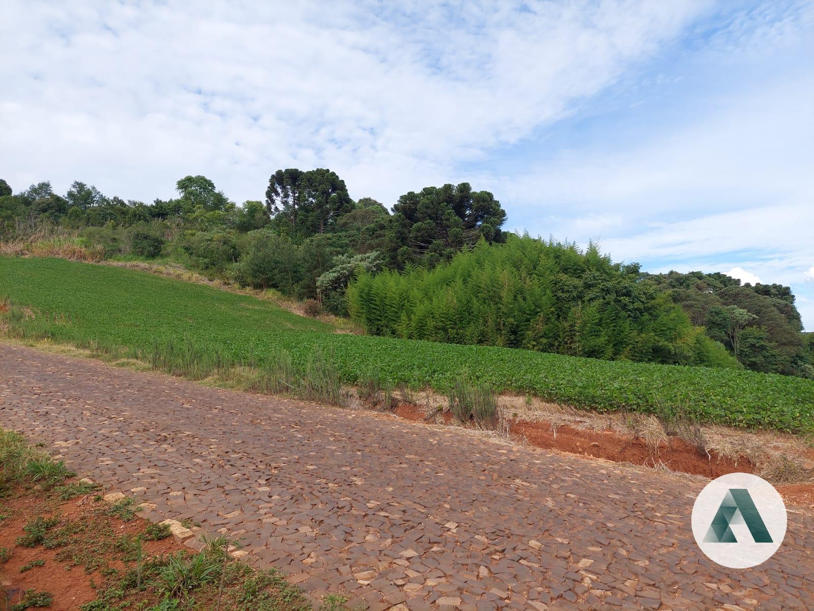 Área rural com área mecanizada para venda no município de Mari...