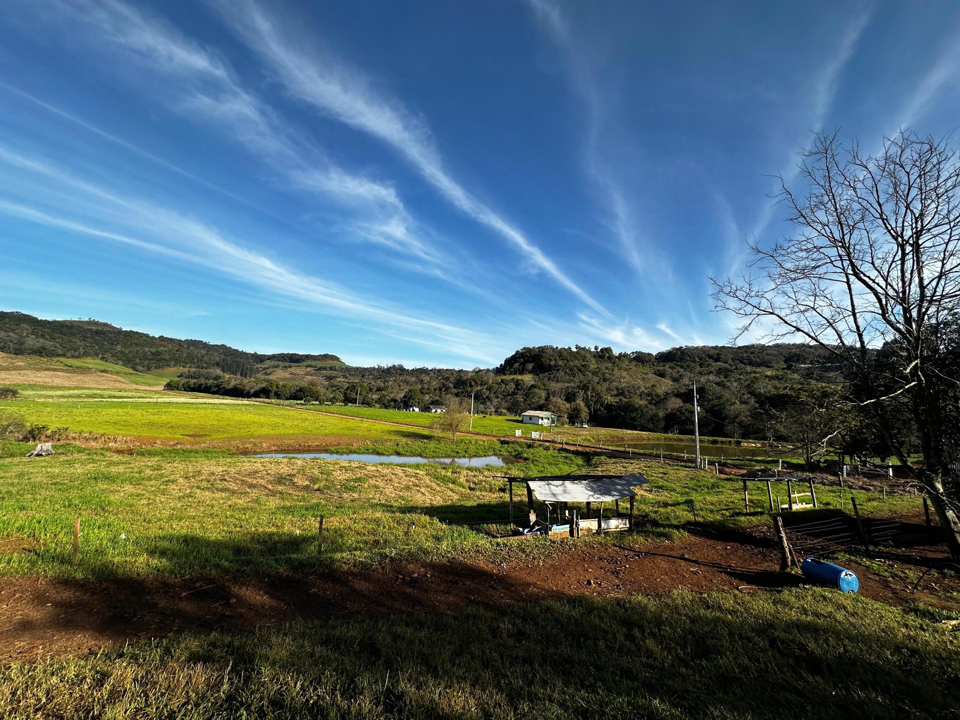 Chácara com área de cultivo rural à venda em Clevelândia - PR